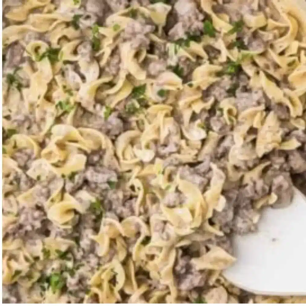 Delicious 30-minute ground beef stroganoff served on a plate