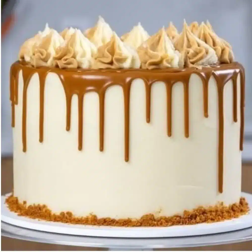 Delicious Biscoff Cookie Butter Cake topped with creamy frosting and cookie crumbs