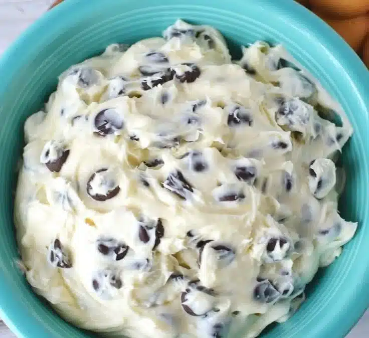 A creamy chocolate chip cheesecake dip served with graham crackers and fruit