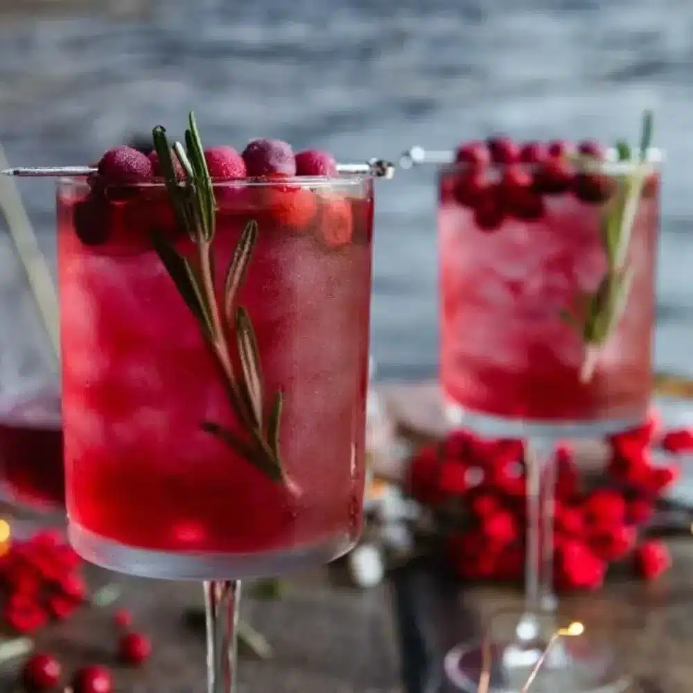 Festive pink gin spritz cocktail garnished with fruit and herbs.