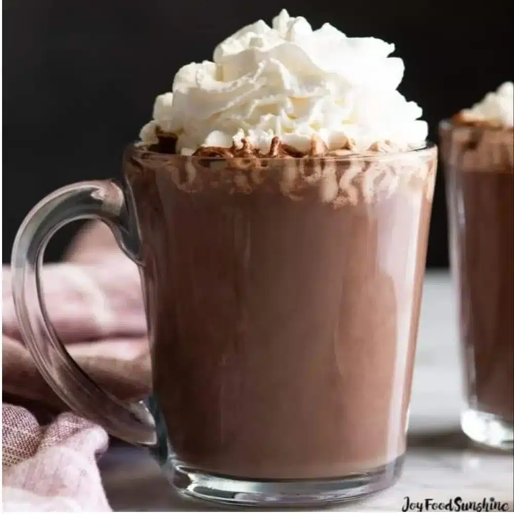 A steaming mug of smooth, creamy homemade hot chocolate topped with whipped cream